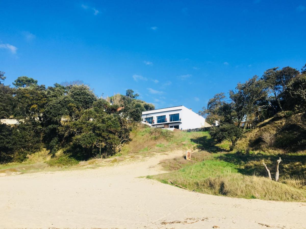 Chambre D'Hote Le Dauphin Meschers-sur-Gironde Exterior foto
